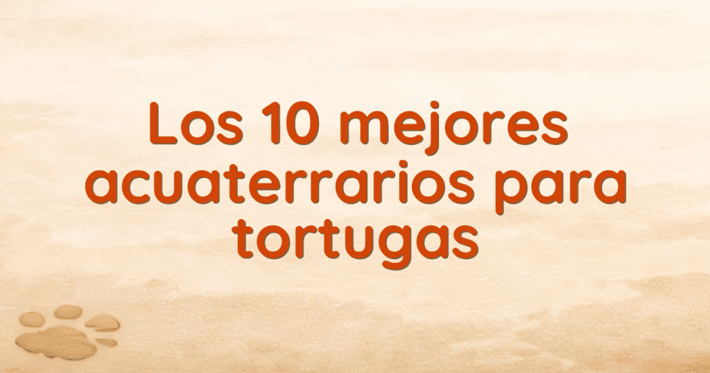 Los 10 mejores acuaterrarios para tortugas Los 10 mejores acuaterrarios para tortugas