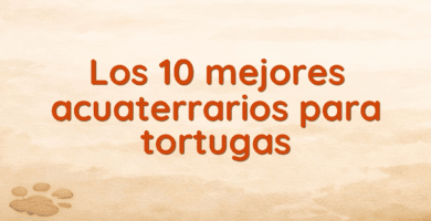 Los 10 mejores acuaterrarios para tortugas Los 10 mejores acuaterrarios para tortugas