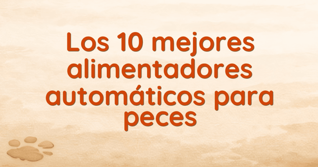 Los 10 mejores alimentadores automáticos para peces
