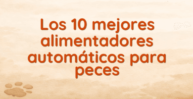 Los 10 mejores alimentadores automáticos para peces