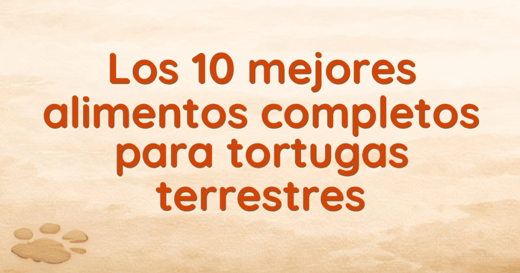 Los 10 mejores alimentos completos para tortugas terrestres