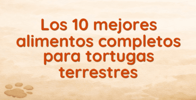 Los 10 mejores alimentos completos para tortugas terrestres