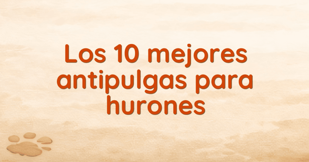 Los 10 mejores antipulgas para hurones Los 10 mejores antipulgas para hurones