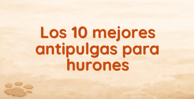 Los 10 mejores antipulgas para hurones Los 10 mejores antipulgas para hurones
