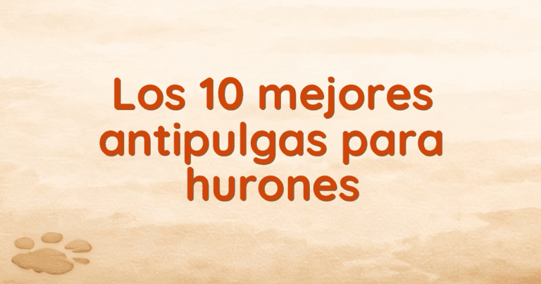 Los 10 mejores antipulgas para hurones Los 10 mejores antipulgas para hurones