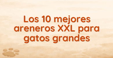 Los 10 mejores areneros XXL para gatos grandes