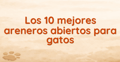 Los 10 mejores areneros abiertos para gatos