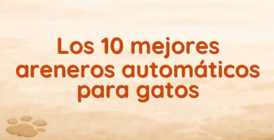 Los 10 mejores areneros automáticos para gatos