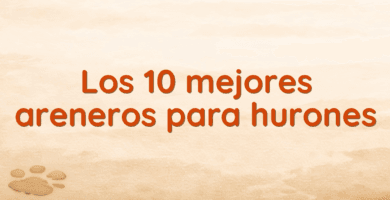 Los 10 mejores areneros para hurones