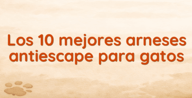 Los 10 mejores arneses antiescape para gatos Los 10 mejores arneses antiescape para gatos
