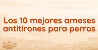 Los 10 mejores arneses antitirones para perros