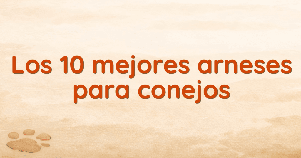 Los 10 mejores arneses para conejos Los 10 mejores arneses para conejos