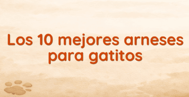 Los 10 mejores arneses para gatitos