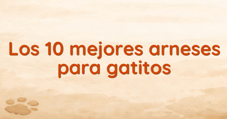 Los 10 mejores arneses para gatitos