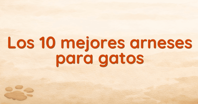 Los 10 mejores arneses para gatos