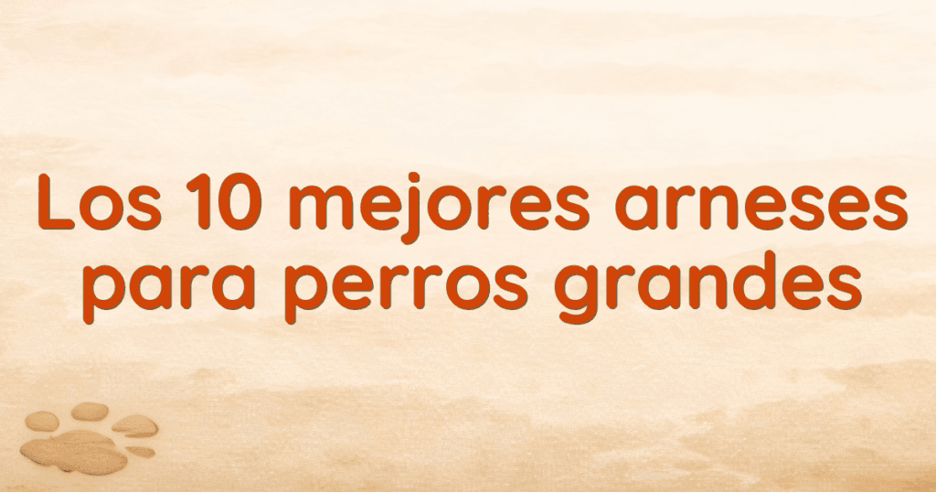 Los 10 mejores arneses para perros grandes