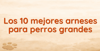 Los 10 mejores arneses para perros grandes