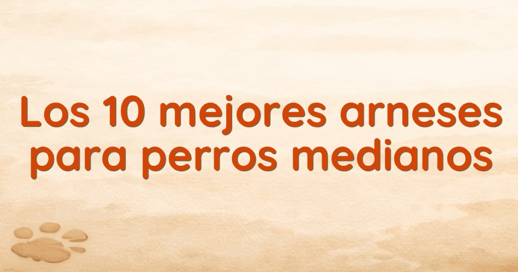 Los 10 mejores arneses para perros medianos