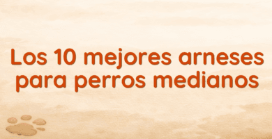 Los 10 mejores arneses para perros medianos