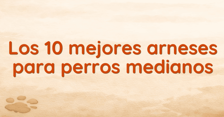 Los 10 mejores arneses para perros medianos
