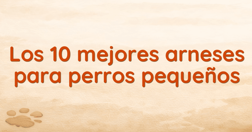 Los 10 mejores arneses para perros pequeños Los 10 mejores arneses para perros pequeños
