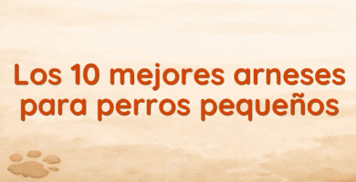Los 10 mejores arneses para perros pequeños Los 10 mejores arneses para perros pequeños