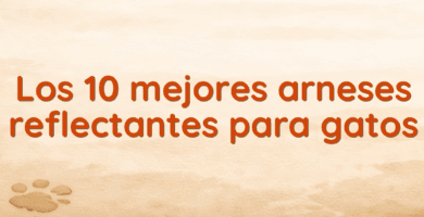 Los 10 mejores arneses reflectantes para gatos