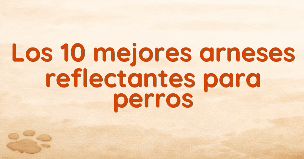 Los 10 mejores arneses reflectantes para perros Los 10 mejores arneses reflectantes para perros