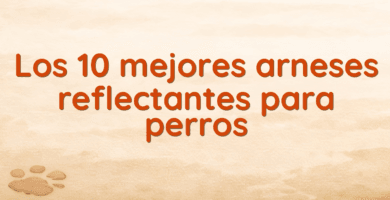 Los 10 mejores arneses reflectantes para perros