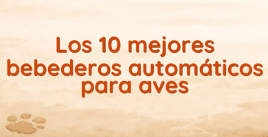Los 10 mejores bebederos automáticos para aves