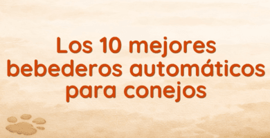 Los 10 mejores bebederos automáticos para conejos