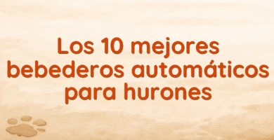 Los 10 mejores bebederos automáticos para hurones