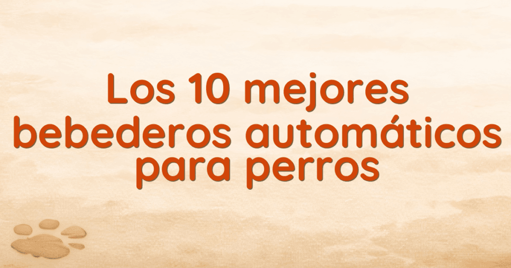 Los 10 mejores bebederos automáticos para perros