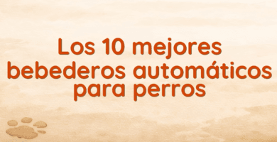 Los 10 mejores bebederos automáticos para perros