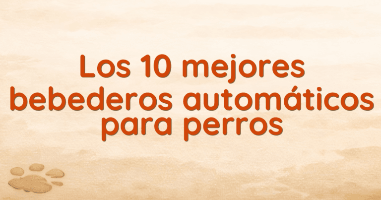 Los 10 mejores bebederos automáticos para perros