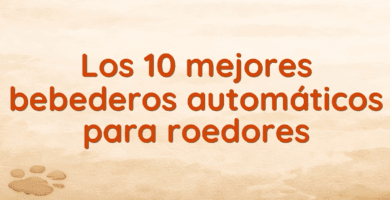 Los 10 mejores bebederos automáticos para roedores