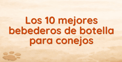Los 10 mejores bebederos de botella para conejos