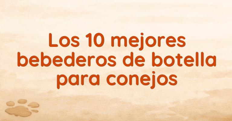 Los 10 mejores bebederos de botella para conejos