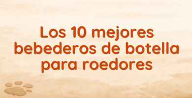 Los 10 mejores bebederos de botella para roedores Los 10 mejores bebederos de botella para roedores
