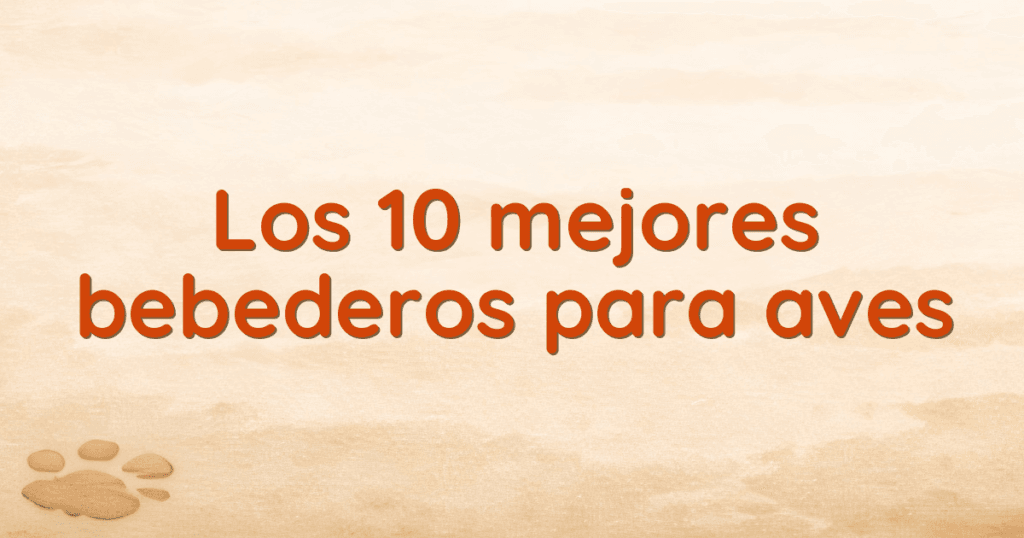 Los 10 mejores bebederos para aves Los 10 mejores bebederos para aves
