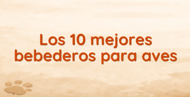 Los 10 mejores bebederos para aves Los 10 mejores bebederos para aves