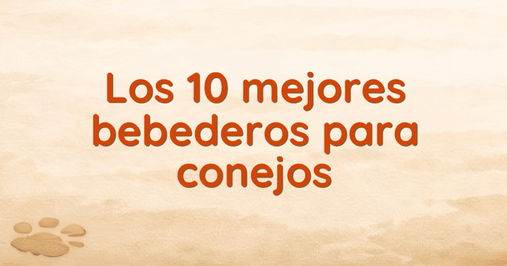 Los 10 mejores bebederos para conejos Los 10 mejores bebederos para conejos
