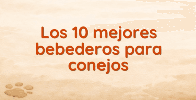 Los 10 mejores bebederos para conejos Los 10 mejores bebederos para conejos
