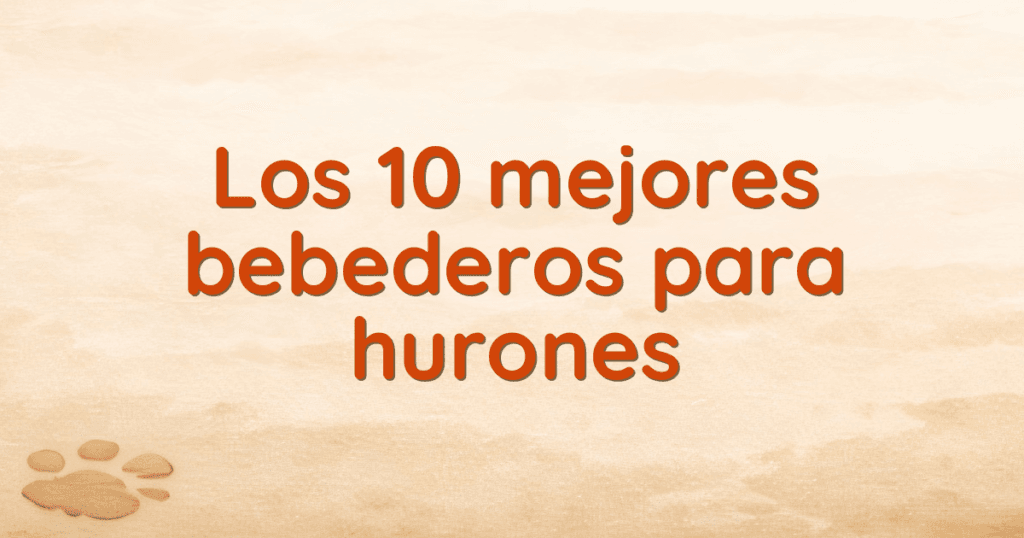 Los 10 mejores bebederos para hurones