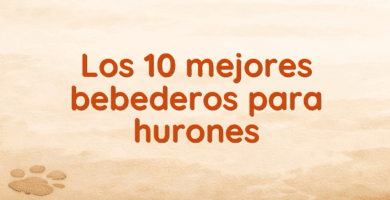 Los 10 mejores bebederos para hurones