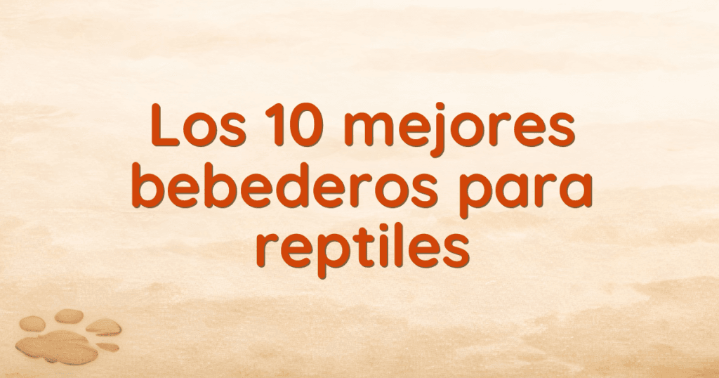 Los 10 mejores bebederos para reptiles