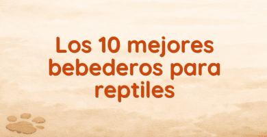 Los 10 mejores bebederos para reptiles Los 10 mejores bebederos para reptiles