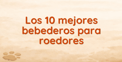 Los 10 mejores bebederos para roedores Los 10 mejores bebederos para roedores