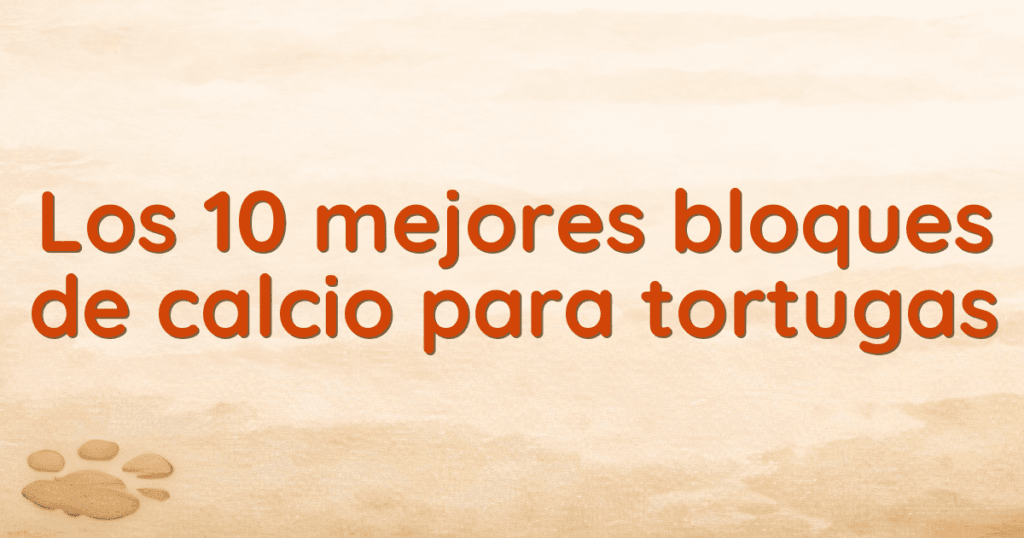 Los 10 mejores bloques de calcio para tortugas Los 10 mejores bloques de calcio para tortugas