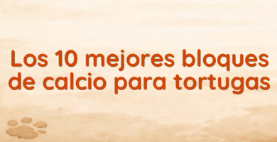 Los 10 mejores bloques de calcio para tortugas Los 10 mejores bloques de calcio para tortugas